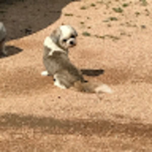 Meet your Posher, Steve